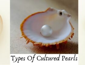 Types-of-Cultured-Pearls